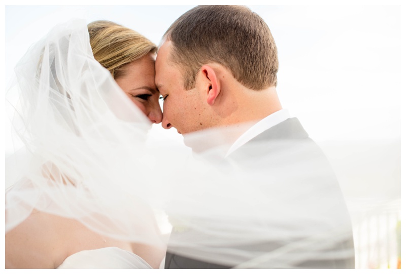 celebrations at the bay wedding photographer