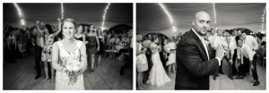 celebrations at the bay wedding