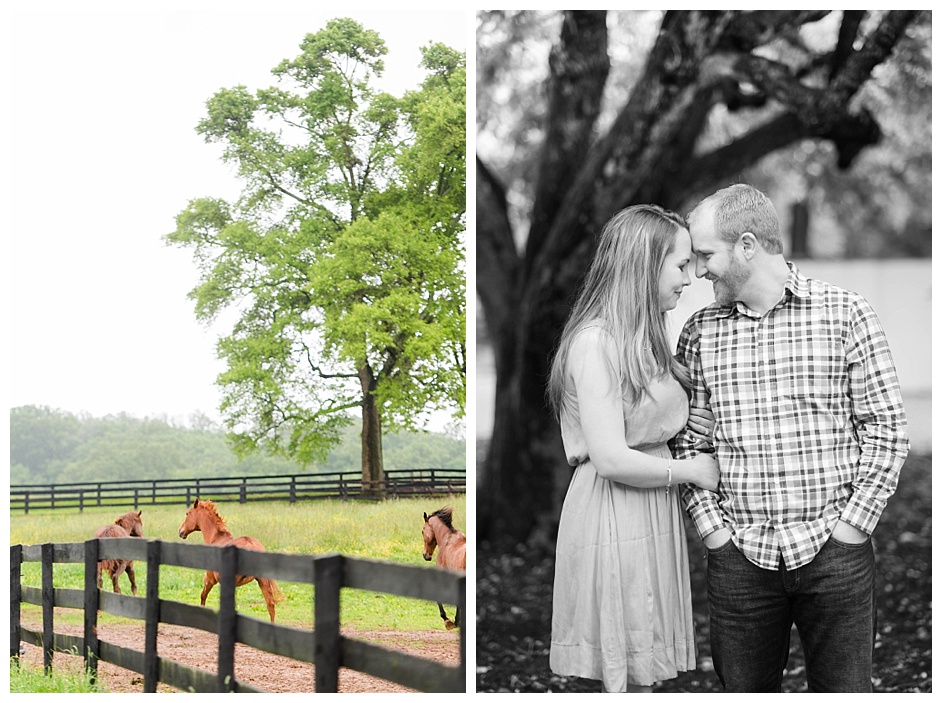 middleburg-va-engagement-photos-with-a-horse__0593