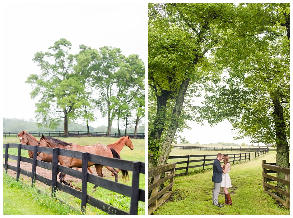middleburg-va-engagement-photos-with-a-horse__0595