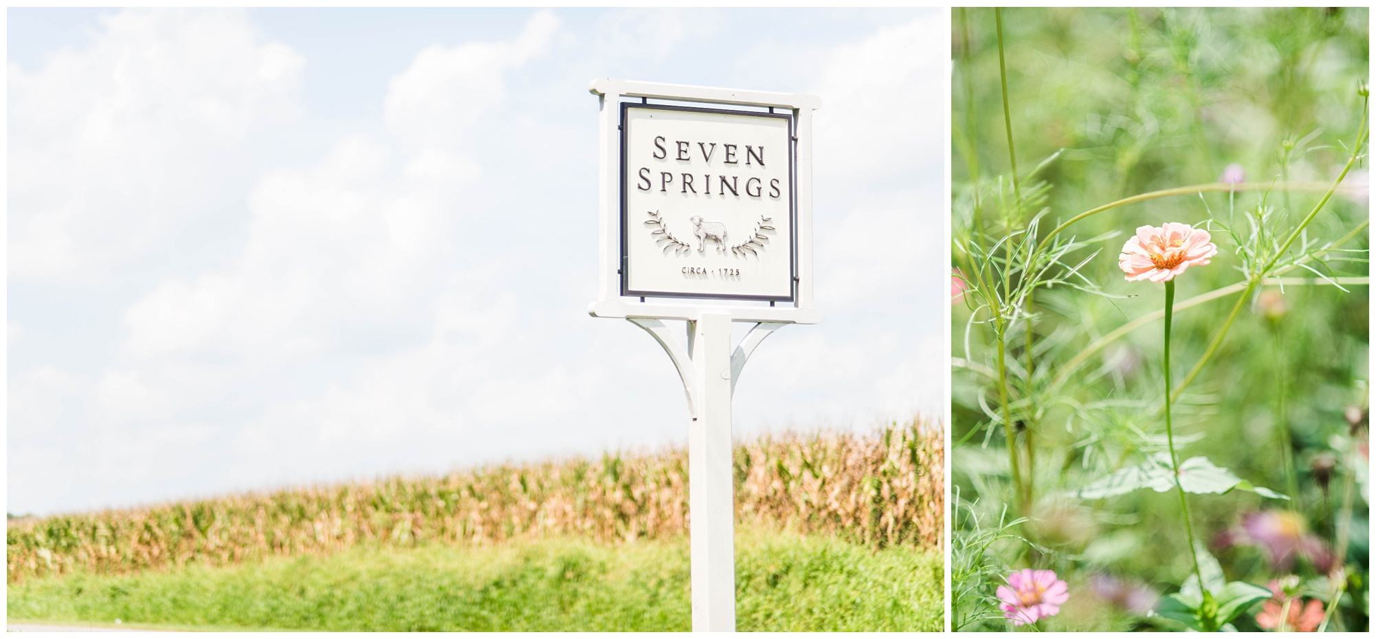 Woodgrain And Greenery Seven Springs Farm Wedding | Sarah & Dave Photography
