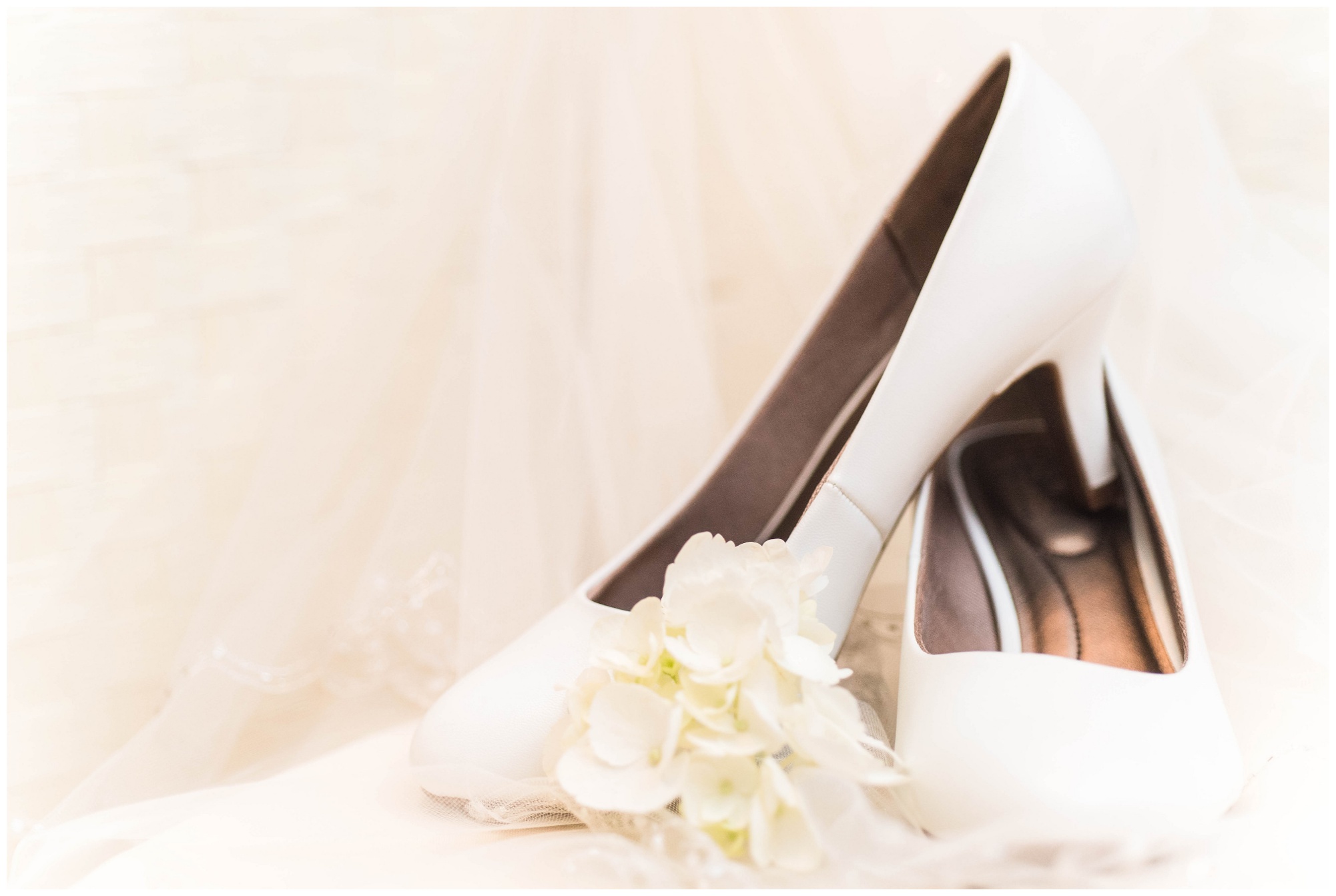 classic blush and white vmfa richmond virginia wedding