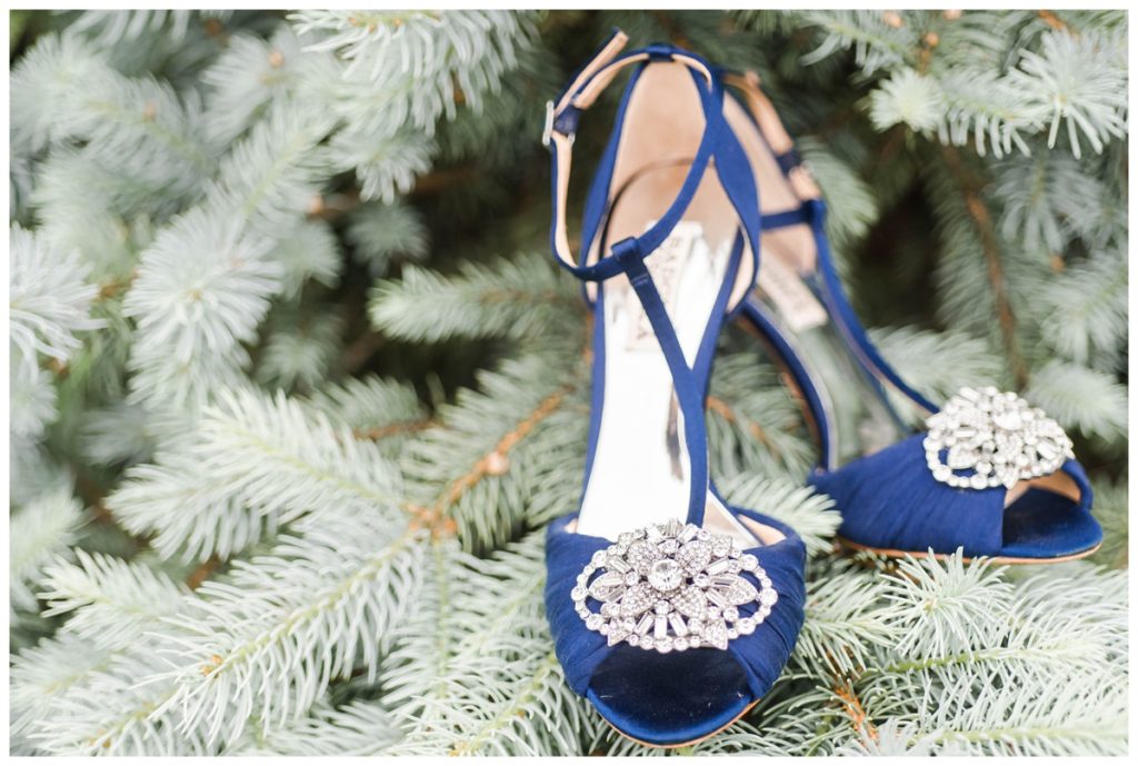 oatlands historic house and gardens may wedding in leesburg va by sarah & dave photography blue jeweled badgley mischka wedding shoes