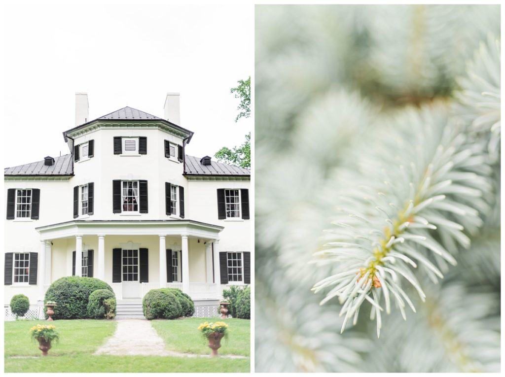 may wedding at oatlands historic house and gardens in the spring by sarah & dave photography richmond wedding photographer photo of plantation home house and evergreen conifer needles