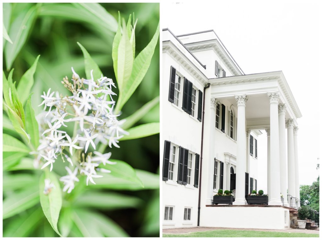 may wedding at oatlands historic house and gardens in the spring by sarah & dave photography richmond wedding photographer photo of plantation home house and plant with white flowers