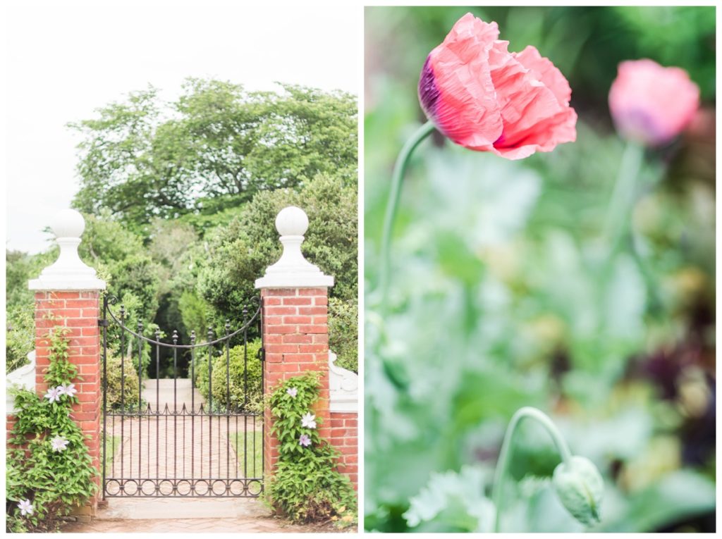 may wedding at oatlands historic house and gardens in the spring by sarah & dave photography richmond wedding photographer photo of gate