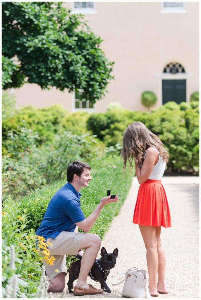 Summer Tudor Place Engagement in Washington DC by Sarah and Dave Photography person kneeling and proposing 
