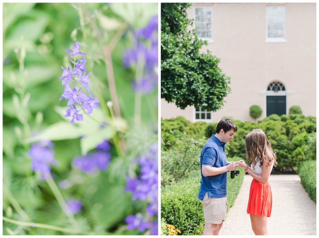 Summer Tudor Place Engagement in Washington DC by Sarah and Dave Photography purple flowers