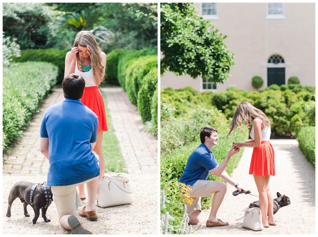 Summer Tudor Place Engagement in Washington DC by Sarah and Dave Photography person kneeling and proposing