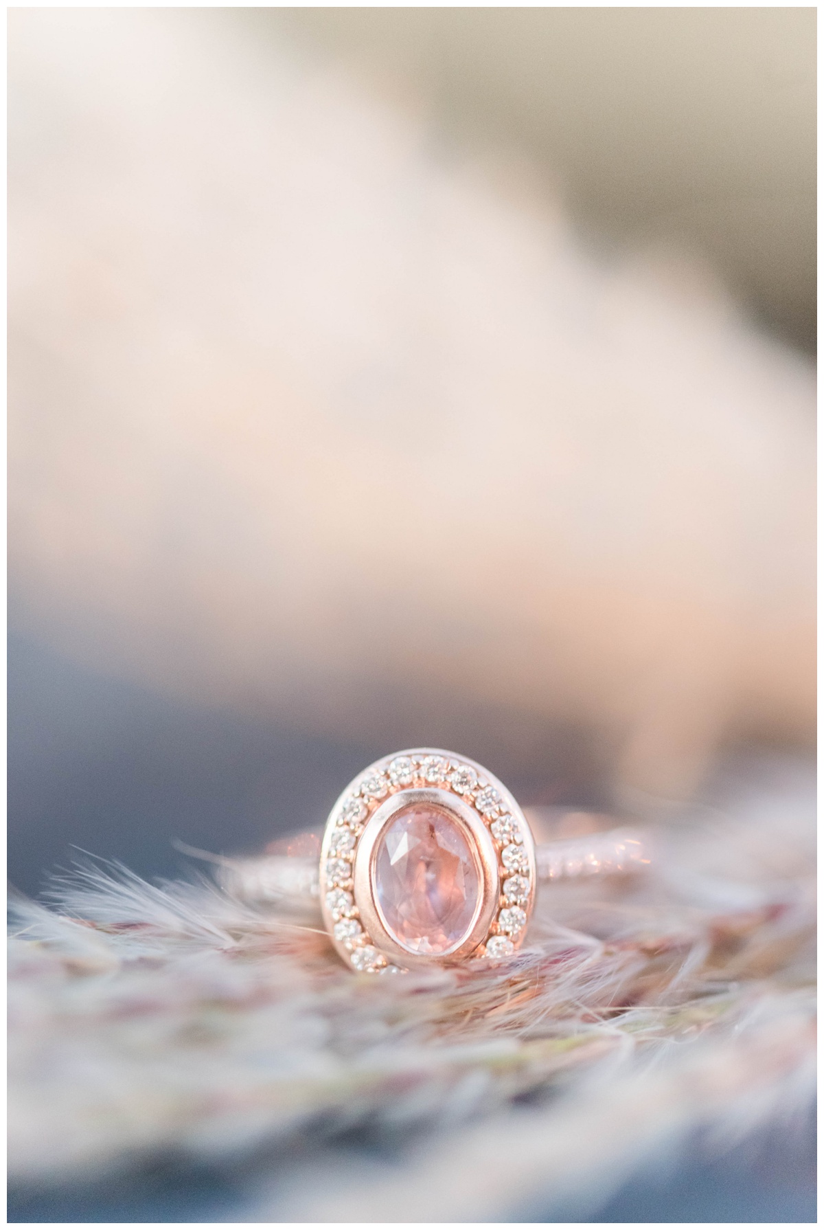 pink engagement ring photo inspiration with natural pink background and all the reason why a colorful engagement ring is basically the prettiest way to go