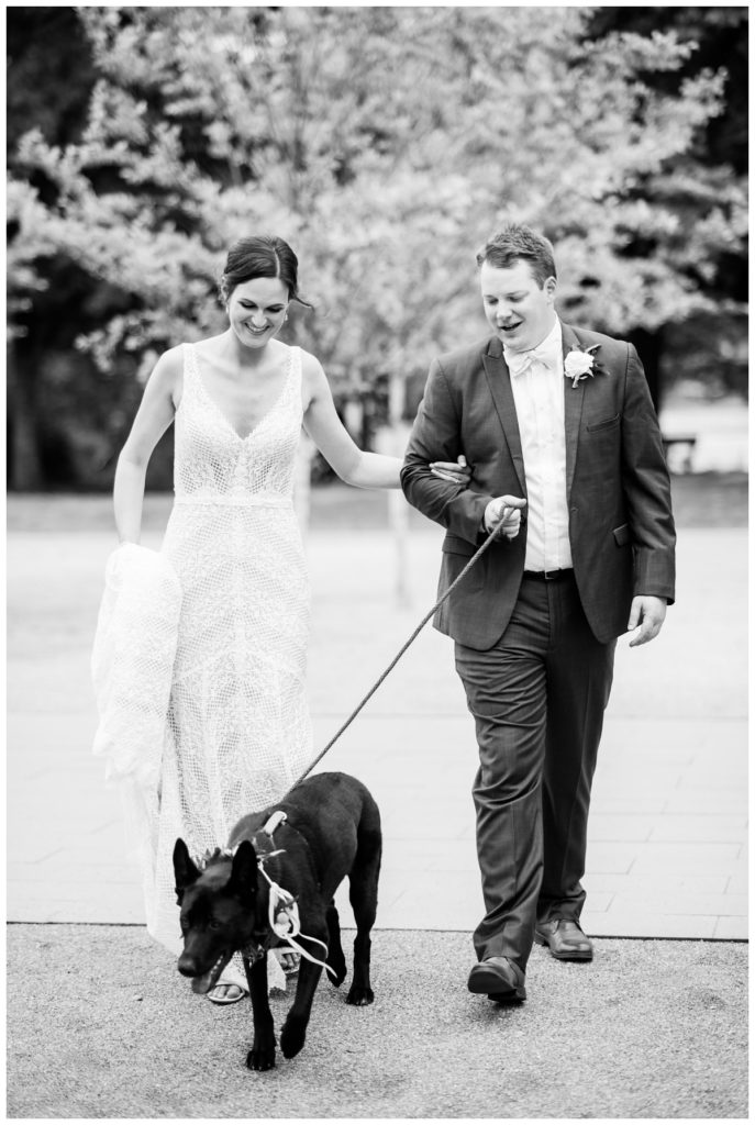 couple walking dog (dog is wearing cute floral + greenery garland crown collar necklace and looking down) - black and white photo