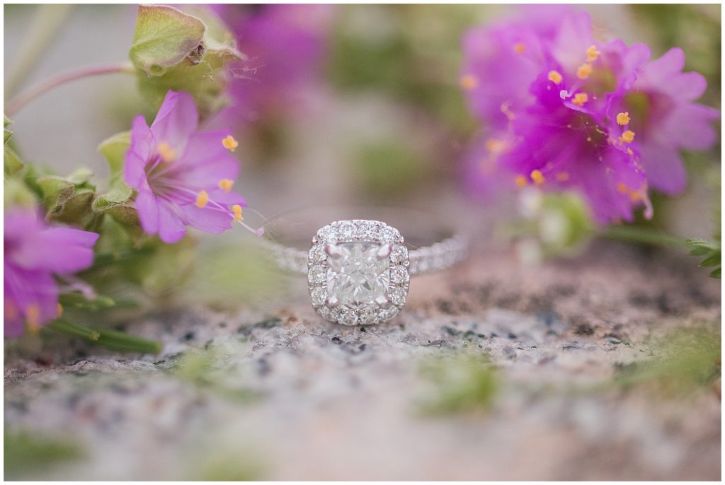 photo of engagement ring outdoors with purple pink flowers - closeup