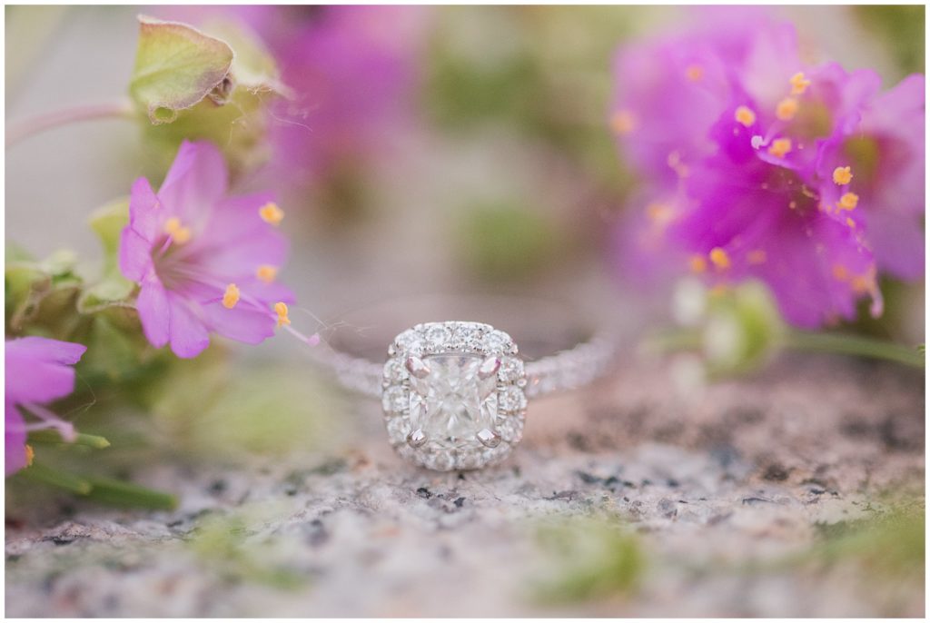 photo of engagement ring outdoors with purple pink flowers - closeup