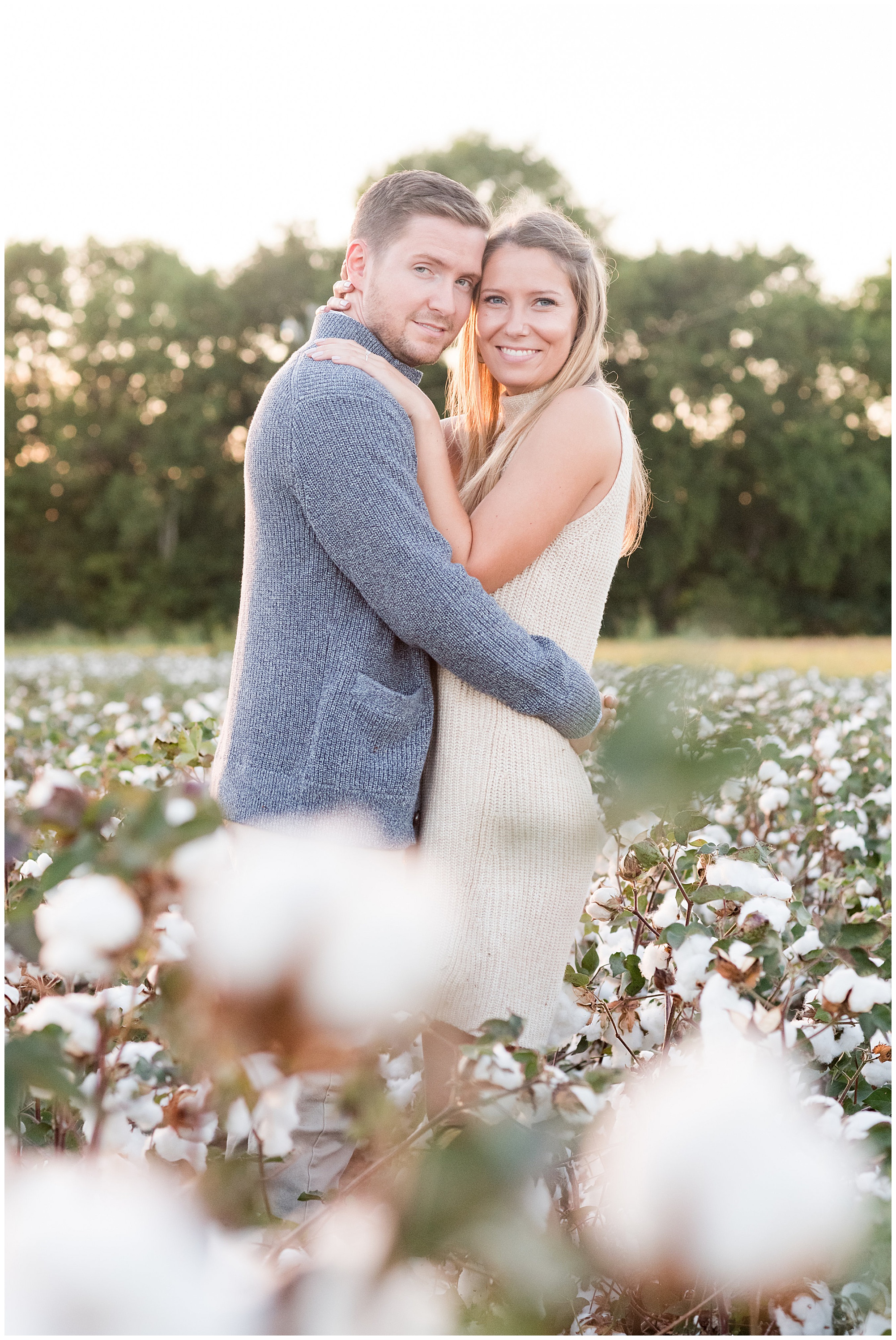 cotton field engagement session at shirley plantation near upper shirley vineyards. in the fall. in october. by richmond rva wedding photographer, sarah & dave photography