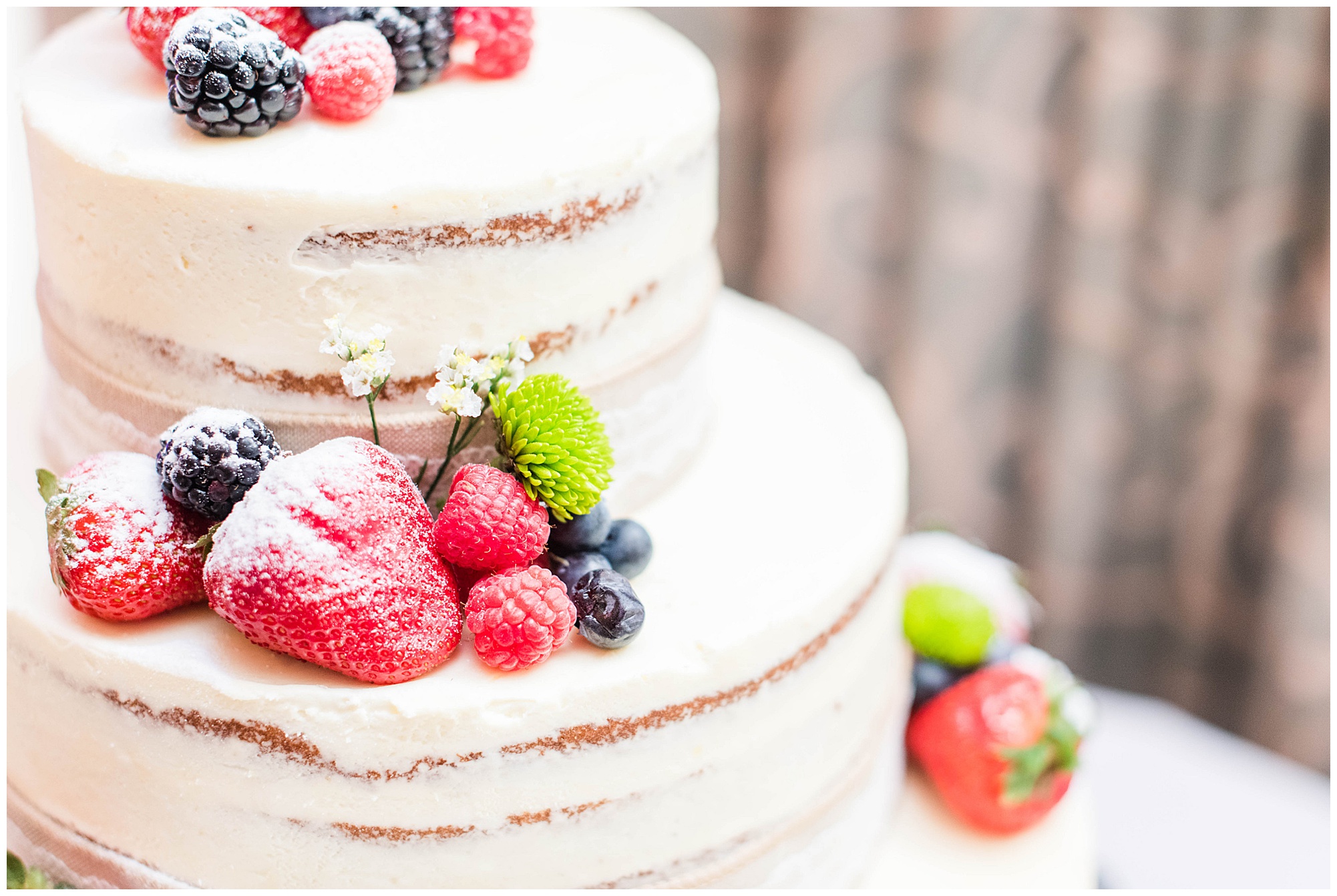 wedding cake with berries. williamsburg wedding in the fall. in november. by richmond rva wedding photographer, Sarah & Dave Photography